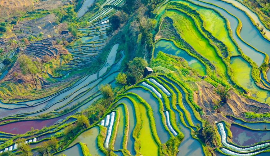走进临邑县TVC拍摄：解锁本地化场景与创意镜头的完美融合